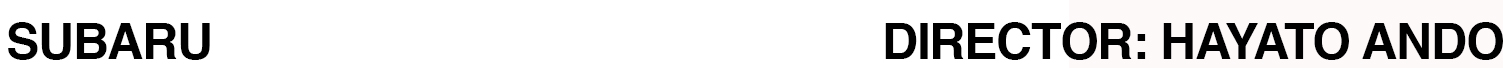 SUBARU2